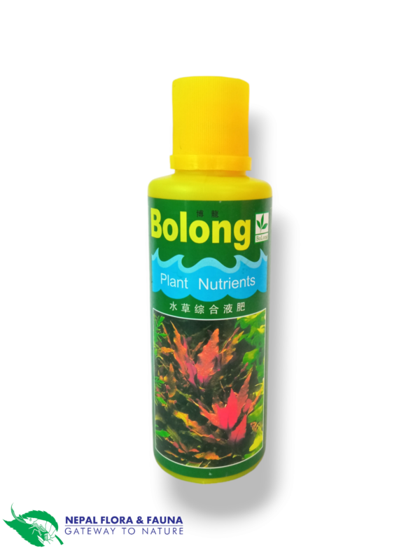 Photoroom-20240820_105650 Bolong Aquarium Aquatic Plant Fertilizer Nutrients 250Ml